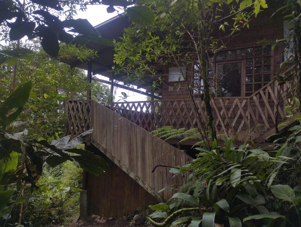 Hostal del Parque Etnobotanico Omaere