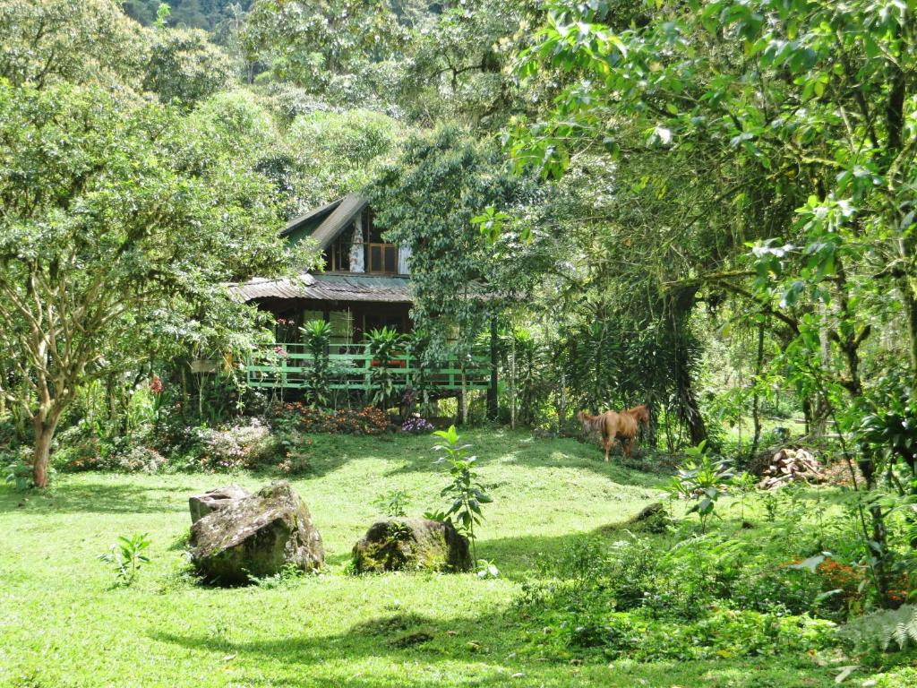 Mindo Eco Chalet con Rio y Cascada