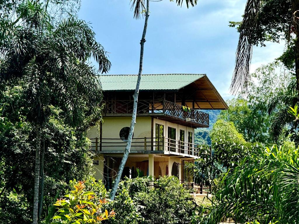 Wisdom Forest Lodge